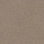 Basic Mix 0104T Sunkissed